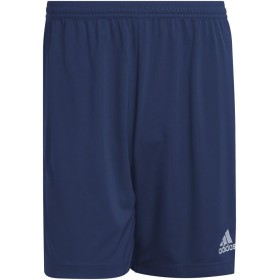 adidas Entrada 22 Shorts - Bermudas Hombre
