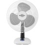 Orbegozo TF 0124 – Desktop Fan, Oscillating, Propeller Diameter 20 cm, Handle, 22 W, LED Light Pilot, 2 Speeds, Black