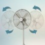 Cecotec EnergySilence 600 WoodDesk Desk Fan, 40 W, Wood Colour Finish, Diameter 12" with 4 Blades, 3 Speeds, Oscillation,