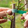 4 Rollos Brida para Plantas Cinta, 10 mm x 10 m Cinta para Plantas Autoadhesiva, Reutilizables y Ajustables Amarre Antitorsión,