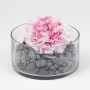 Heku 30330-06: Arena decorativa (750 g, en lata resellable), color lila, 750g