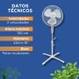 Clivex Eco Foot and Wall Oscillating Fan 3 Speeds 40 cm (45W) With Stand and Extendable Height