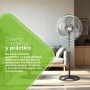 Aspes AVP501800OVN Black Standing Fan 3 Speed, 3, Oscillating