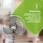 Aspes AVP501800OVN Black Standing Fan 3 Speed, 3, Oscillating
