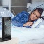 DR.PREPARE Table Fan Tower Fan 33cm 110° Oscillating Double Fan 3 Speeds 3 Timers Small Fan for Home Office Bedroom