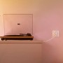 Wiz - Enchufe inteligente Wi-Fi, controla con App, compatible con Alexa y Google Home