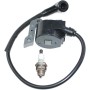 ICOOYO Bobina de encendido para Oleo-Mac 956 962 965 TT162 Efco 156 162 165 TT962 50022007BR (versión antigua)
