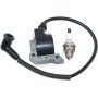 ICOOYO Bobina de encendido para Oleo-Mac 956 962 965 TT162 Efco 156 162 165 TT962 50022007BR (versión antigua)