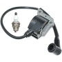 ICOOYO Bobina de encendido para Oleo-Mac 956 962 965 TT162 Efco 156 162 165 TT962 50022007BR (versión antigua)