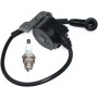 ICOOYO Bobina de encendido para Oleo-Mac 956 962 965 TT162 Efco 156 162 165 TT962 50022007BR (versión antigua)