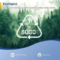 Palmtree 540XL 541XL Multipack Compatible con Tinta Canon 540 541 XL para Canon PIXMA MG3650 MG3650s MG3600 MG4200 TS5150 TS5151 Palmtree 540XL 541XL Multipack Compatible con Tinta Canon 540 541 XL para Canon PIXMA MG3650 MG3650s MG3600 MG4200 TS5150 TS5151