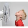 Genérico EMMA Ultra Quiet Standing Fan | 24h Shipping | 45 W | Low Consumption | High Power in 3 Speeds | Adjustable Height | 3