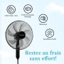 Taylor Swoden 7 Blades Powerful Standing Fan, 3 Speeds, 50 W Fans, Height Adjustable, Oscillating, Safety Grid, Stable Base,