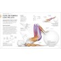 Entrenamiento de fuerza (Science of Strength Training): Mejora tu técnica, evita lesiones, perfecciona tu entrenamiento