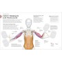 Entrenamiento de fuerza (Science of Strength Training): Mejora tu técnica, evita lesiones, perfecciona tu entrenamiento