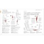 Entrenamiento de fuerza (Science of Strength Training): Mejora tu técnica, evita lesiones, perfecciona tu entrenamiento