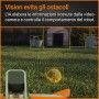 WORX Landroid Vision M550 WR205E Robot cortacésped para Jardines de hasta 550 m² – Robot cortacésped Inteligente sin Cable de