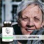 Nootrópico Potente Natural - Memoria, Concentración, Energía, Agilidad Mental - Ginkgo Biloba, Melena de León, Bacopa Monnieri,