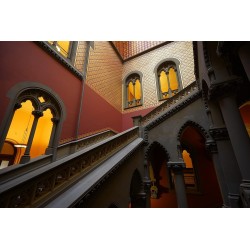 SONY Alpha 7 III + FE 28-70