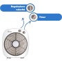 ARDES Portable Cooling Floor or Table Fan with 6 Blades and 3 Levels of Intensity and Rotation 360 Degrees Floor Fan Box Floor