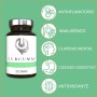 Nootrópico Potente Natural - Memoria, Concentración, Energía, Agilidad Mental - Ginkgo Biloba, Melena de León, Bacopa Monnieri,
