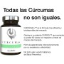 Nootrópico Potente Natural - Memoria, Concentración, Energía, Agilidad Mental - Ginkgo Biloba, Melena de León, Bacopa Monnieri,