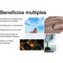 Nootrópico Potente Natural - Memoria, Concentración, Energía, Agilidad Mental - Ginkgo Biloba, Melena de León, Bacopa Monnieri,