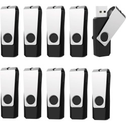 1GB USB al por Mayor, RAOYI Pendrive Pack Memoria USB 2.0 1GB, Memory Stick Flash Drive para Computadoras PC Windows Mac OS (10