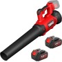 TEENO Soplador eléctrico de Hojas con 6 Modos de Velocidad, 780 m³/h, 210 km/h, para el Cuidado del césped, Patio, soplador de