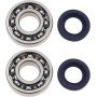 VGOL Juego de 2 Cojinetes de Cigüeñal Y Sellos de Eje de Motosierra Compatible con Stihl MS271 MS291 MS270 MS280 MS311