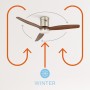 CREATE / WINDCALM/Ceiling fan with light nickel light wood blades and control/40W, silent, Ø132 cm, 6 speeds, 3 light