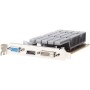 MAXSUN NVIDIA GeForce GT 710 Tarjeta Grafica 2gb - Tarjeta gráfica GPU (Pasivo, bajo Perfil, bajo Consumo, VGA, DVI-D, HDMI,