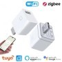 Adaptador de corriente inteligente con WiFi, interruptor Mini USB, Zig