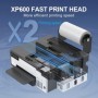 Impresora A4 A3 DTF para Epson XP600, impresora dtf de 8,5/13 pulgadas
