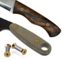 Contencinty Paquete de 10 tornillos de mango de cuchillo, remaches, tornillos, tornillos planos hexagonales dorados, tornillos