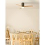 CREATE / WINDCALM/Ceiling fan with black light and control/40W, silent, Ø132 cm, 6 speeds, 3 light temperatures, timer,