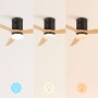 CREATE / WINDCALM/Ceiling fan with black light and control/40W, silent, Ø132 cm, 6 speeds, 3 light temperatures, timer,