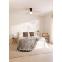 CREATE / WINDCALM/Ceiling fan with black light and control/40W, silent, Ø132 cm, 6 speeds, 3 light temperatures, timer,