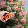 Tijeras de Podar - Tijeras Podar Pequeña - Tijeras Jardinería Afilada con Mango Ergonómico,Ideales para Podar