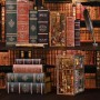 MiniCity Book Nook Kit, DIY Miniatur Dollhouse Booknook Kit(Beyond Library MAX)