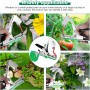 Faankiton Herramienta de Cinta de Jardín, Atadora Agricola para Atar Ramas de Plantas, Maquina para Atar Plantas, Maquina Atar