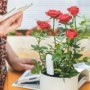 Youpin Xiaomi-probador de nivel de agua para plantas y flores, recorda