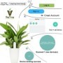 Youpin Xiaomi-probador de nivel de agua para plantas y flores, recorda