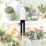 Youpin Xiaomi-probador de nivel de agua para plantas y flores, recorda