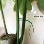 XIABYAYU Alambre de Jardinería Verde, 100 Pcs Alambre para Plantas, 20cm Alambre Verde Jardin Fino, Alambre para Atar Plantas,