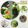 L&W Luck 12mm Brida para Plantas Cinta, 10m/20m/30m Bridas Reutilizables Lazos para Plantas,Cinta para Plantas Autoadhesiva