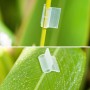 Paquete de 20 clips de injerto para uso agrícola, para plantas de tomate y pepino (2 mm)