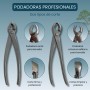 Kit Herramientas Bonsái Profesional – Estuche Para Mantenimiento de Bonsais con Tijeras, Podadora Cóncava y Podadora Recta