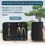 Kit Herramientas Bonsái Profesional – Estuche Para Mantenimiento de Bonsais con Tijeras, Podadora Cóncava y Podadora Recta
