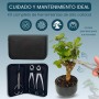 Kit Herramientas Bonsái Profesional – Estuche Para Mantenimiento de Bonsais con Tijeras, Podadora Cóncava y Podadora Recta